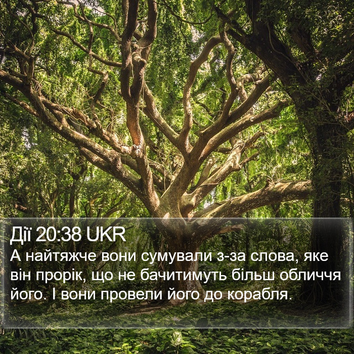Дії 20:38 UKR Bible Study