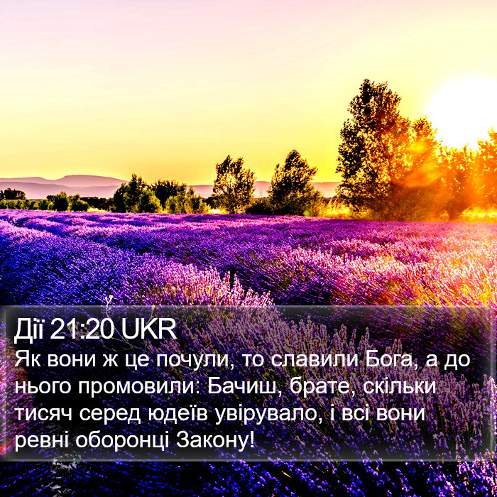 Дії 21:20 UKR Bible Study