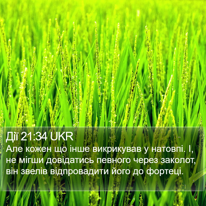 Дії 21:34 UKR Bible Study