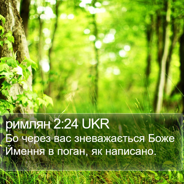 римлян 2:24 UKR Bible Study