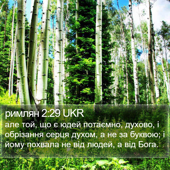 римлян 2:29 UKR Bible Study