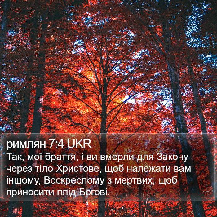 римлян 7:4 UKR Bible Study