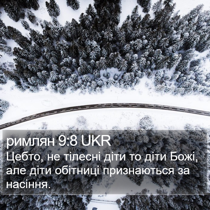 римлян 9:8 UKR Bible Study