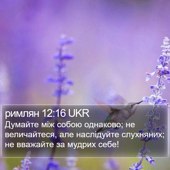 римлян 12:16 UKR Bible Study