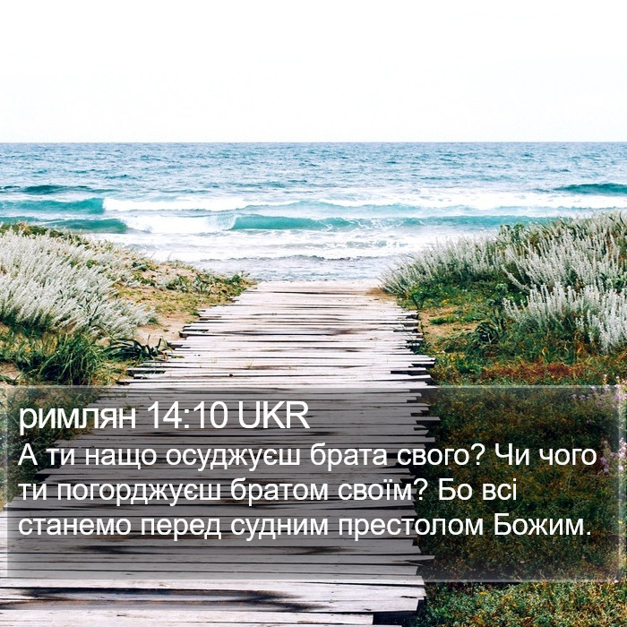 римлян 14:10 UKR Bible Study