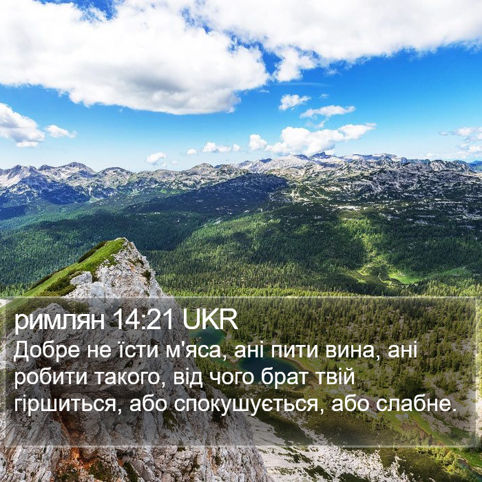 римлян 14:21 UKR Bible Study