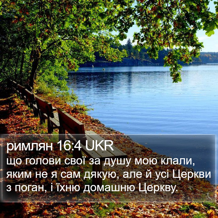 римлян 16:4 UKR Bible Study