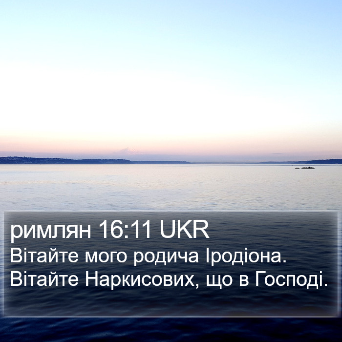 римлян 16:11 UKR Bible Study