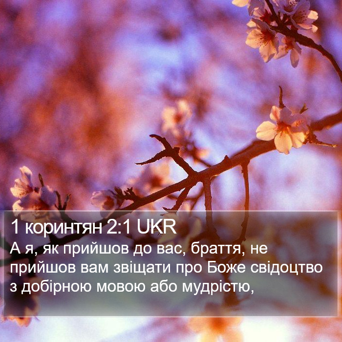 1 коринтян 2:1 UKR Bible Study