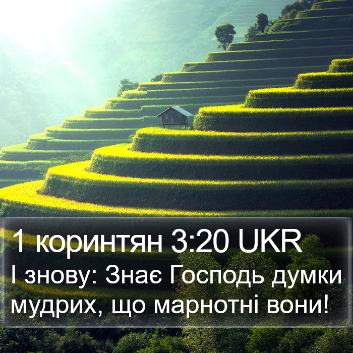 1 коринтян 3:20 UKR Bible Study