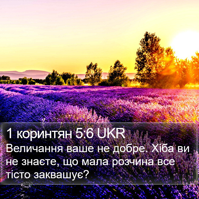 1 коринтян 5:6 UKR Bible Study