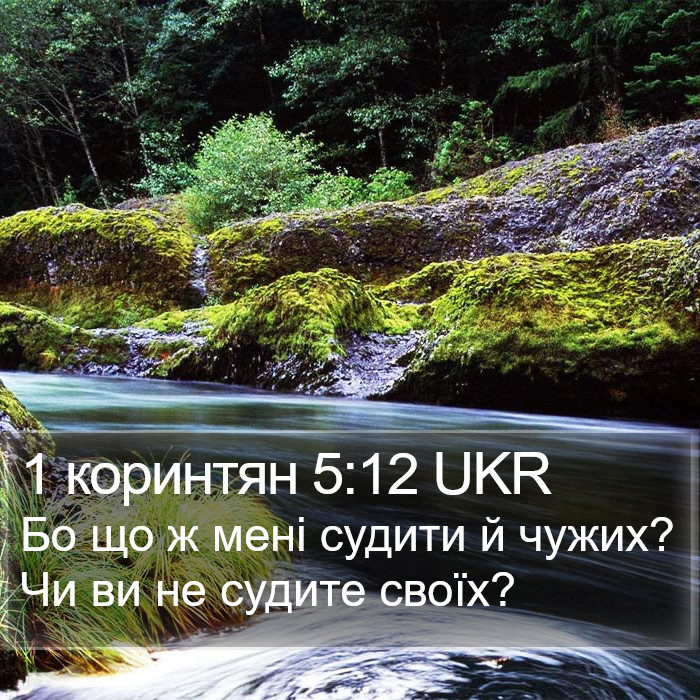 1 коринтян 5:12 UKR Bible Study