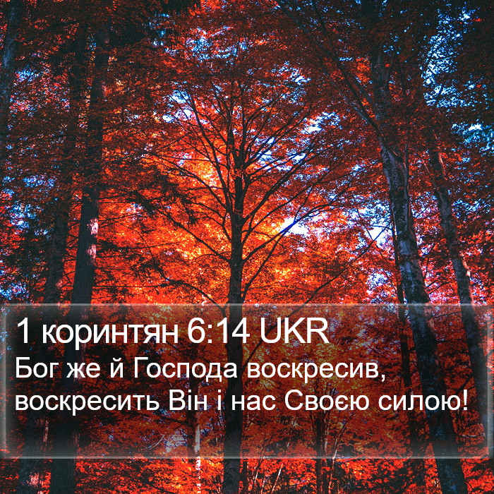 1 коринтян 6:14 UKR Bible Study