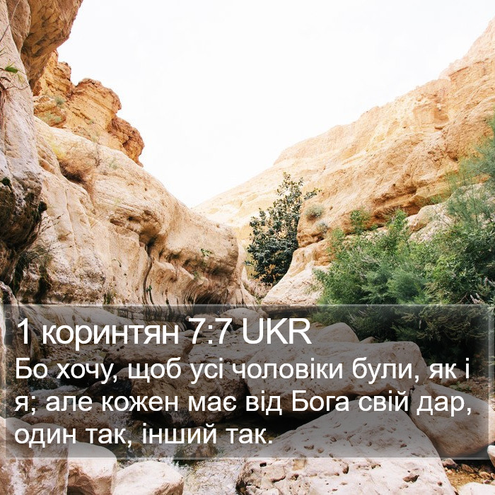 1 коринтян 7:7 UKR Bible Study