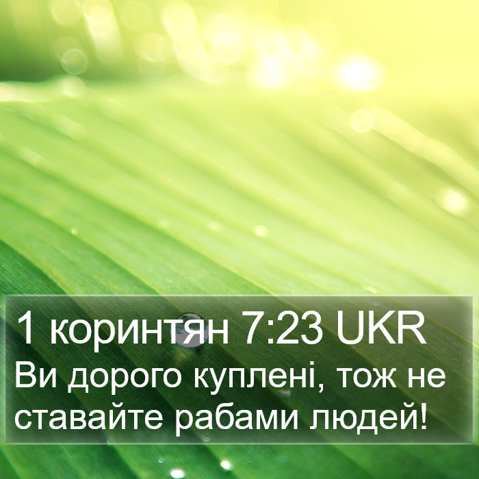 1 коринтян 7:23 UKR Bible Study