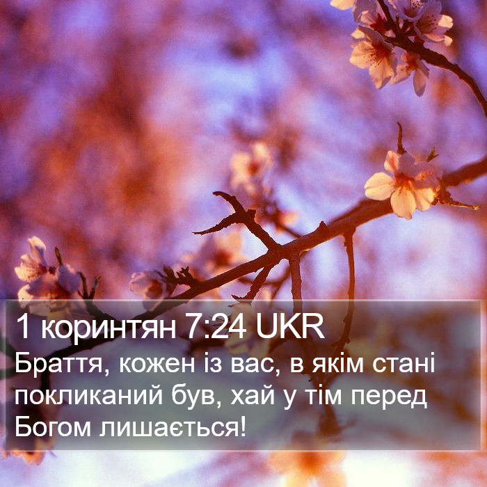 1 коринтян 7:24 UKR Bible Study