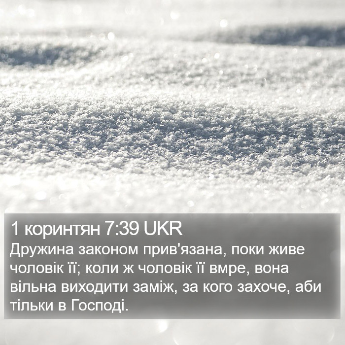 1 коринтян 7:39 UKR Bible Study