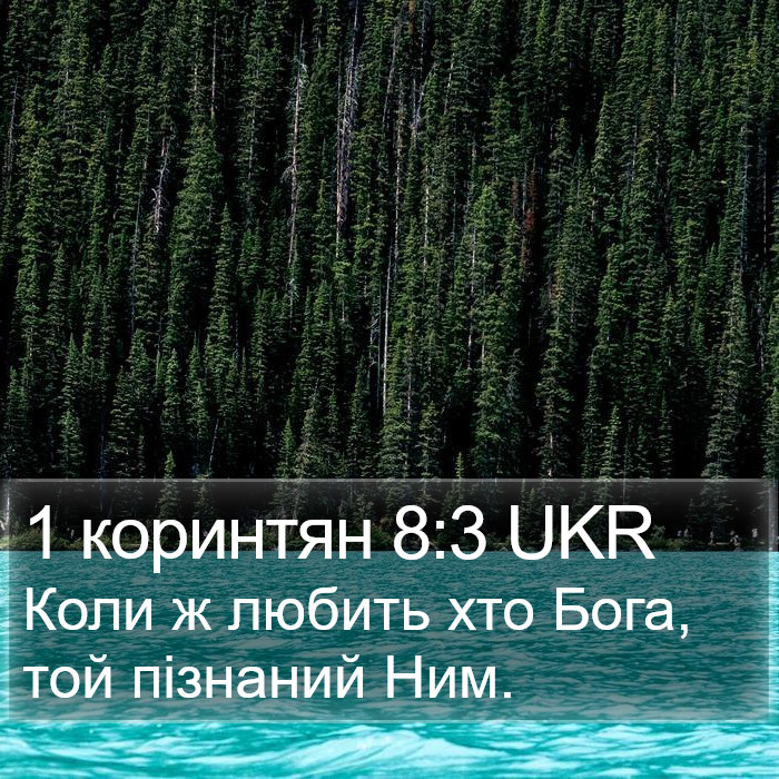 1 коринтян 8:3 UKR Bible Study