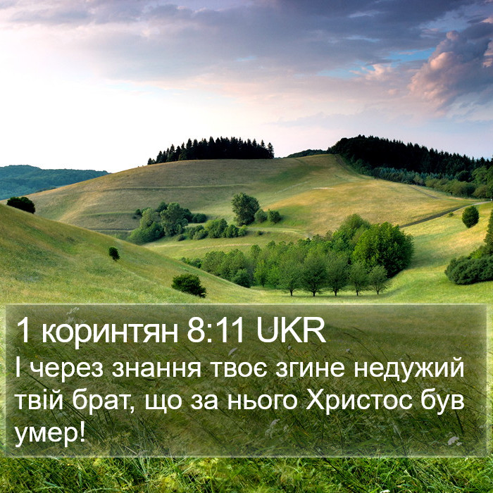 1 коринтян 8:11 UKR Bible Study