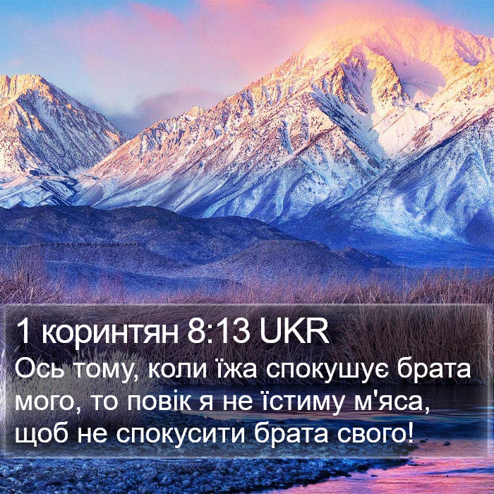 1 коринтян 8:13 UKR Bible Study