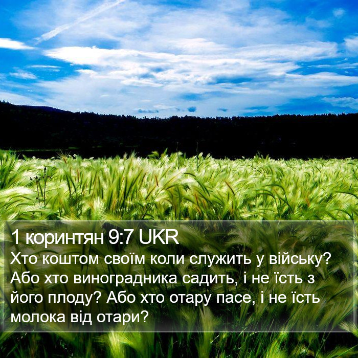1 коринтян 9:7 UKR Bible Study