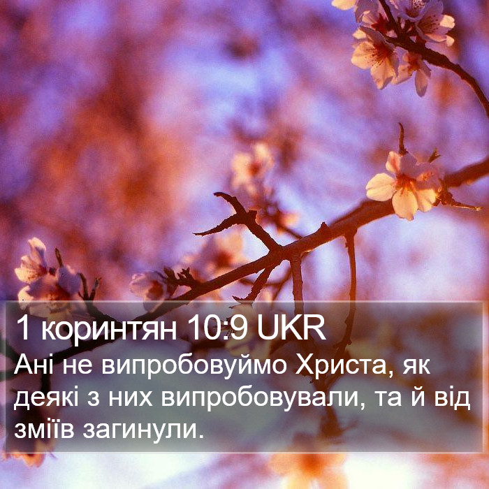 1 коринтян 10:9 UKR Bible Study