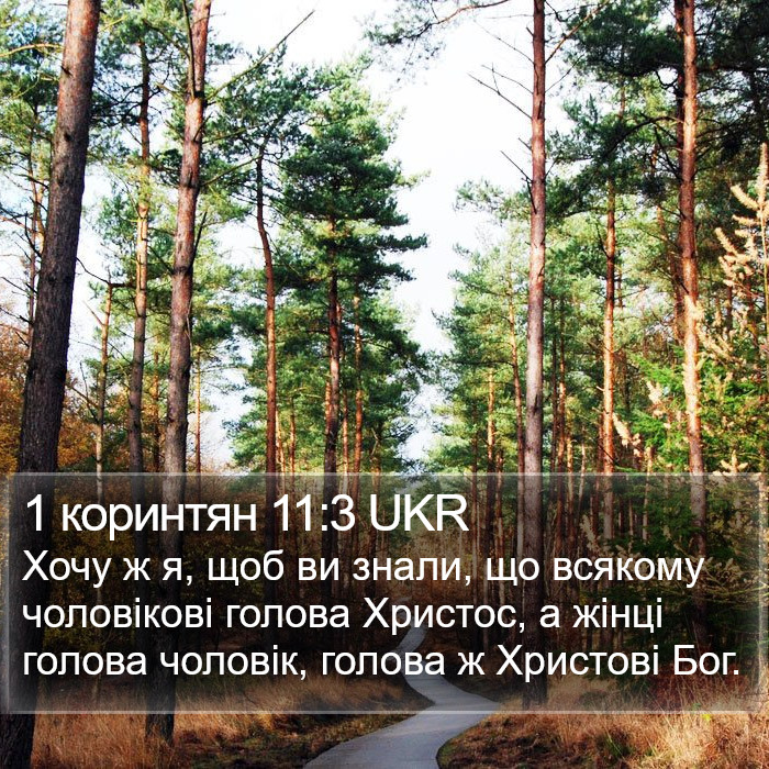 1 коринтян 11:3 UKR Bible Study