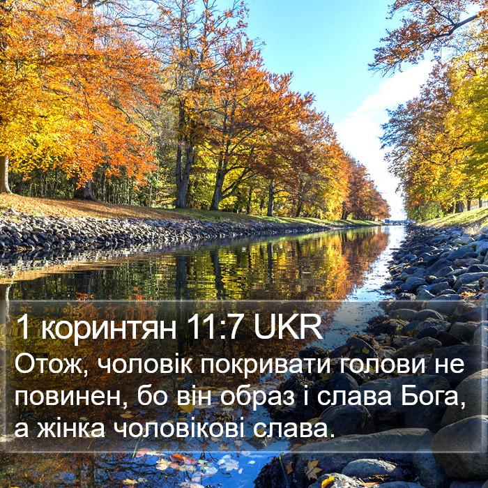 1 коринтян 11:7 UKR Bible Study