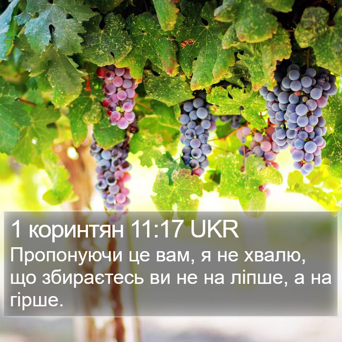 1 коринтян 11:17 UKR Bible Study