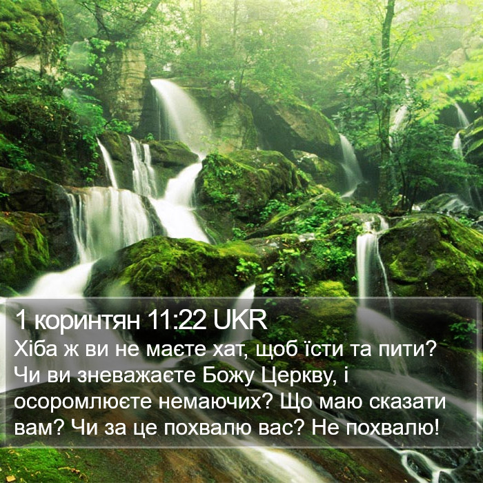 1 коринтян 11:22 UKR Bible Study
