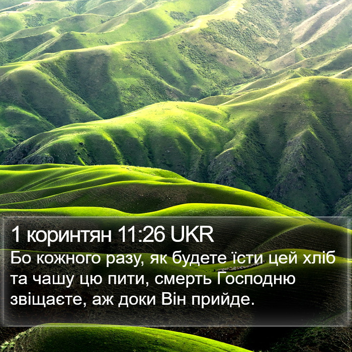 1 коринтян 11:26 UKR Bible Study