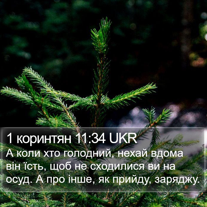 1 коринтян 11:34 UKR Bible Study