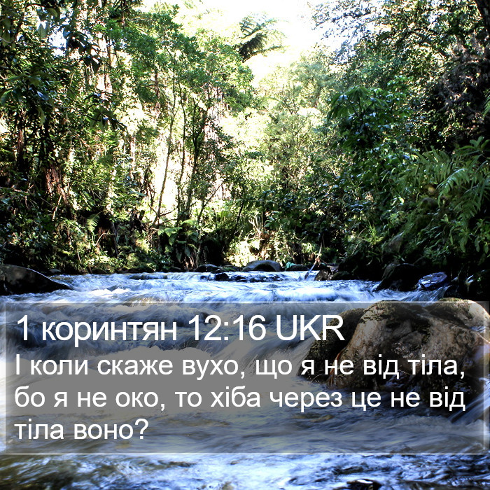 1 коринтян 12:16 UKR Bible Study