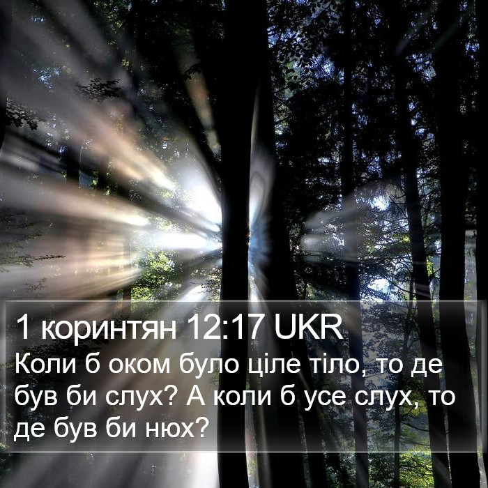 1 коринтян 12:17 UKR Bible Study