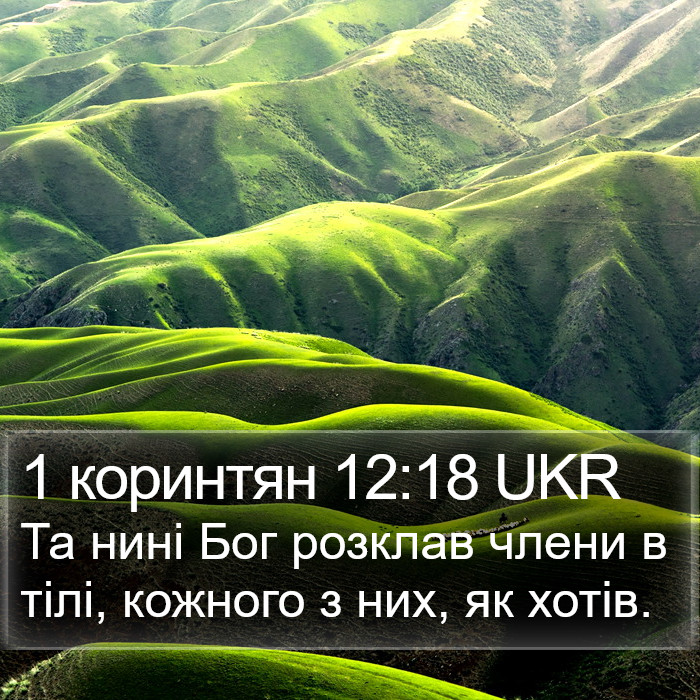 1 коринтян 12:18 UKR Bible Study