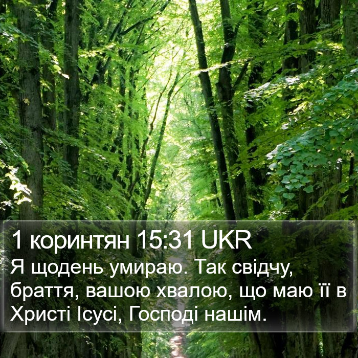 1 коринтян 15:31 UKR Bible Study