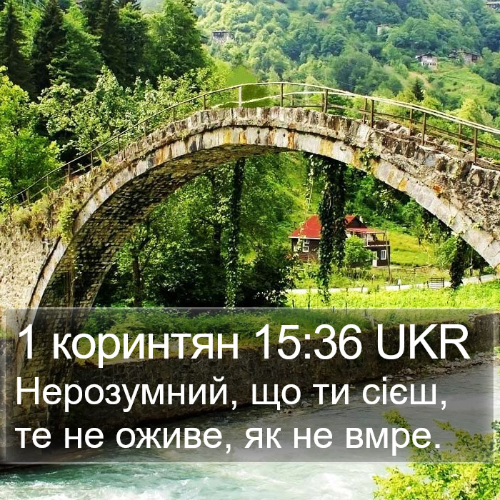 1 коринтян 15:36 UKR Bible Study