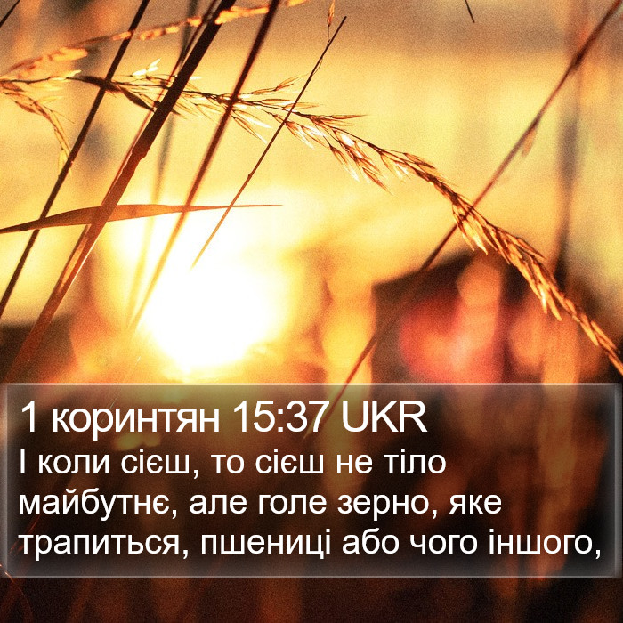 1 коринтян 15:37 UKR Bible Study