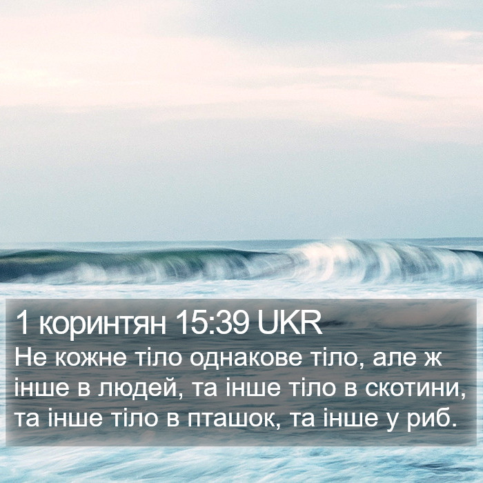 1 коринтян 15:39 UKR Bible Study