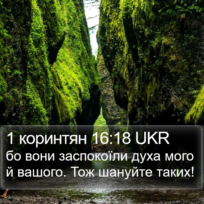 1 коринтян 16:18 UKR Bible Study