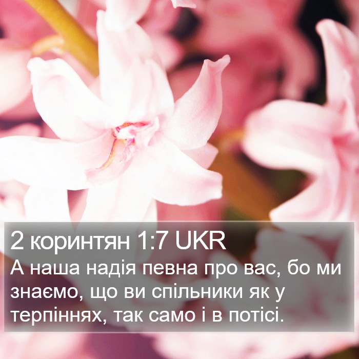 2 коринтян 1:7 UKR Bible Study