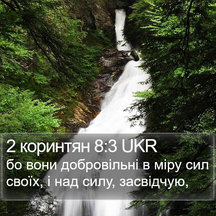 2 коринтян 8:3 UKR Bible Study