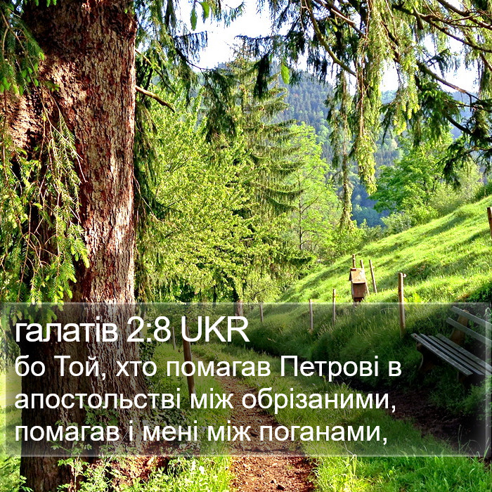 галатів 2:8 UKR Bible Study