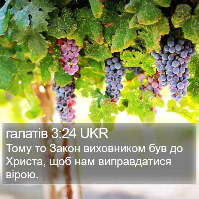 галатів 3:24 UKR Bible Study