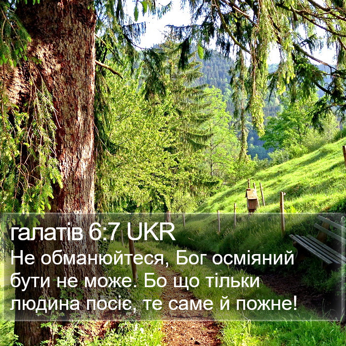 галатів 6:7 UKR Bible Study
