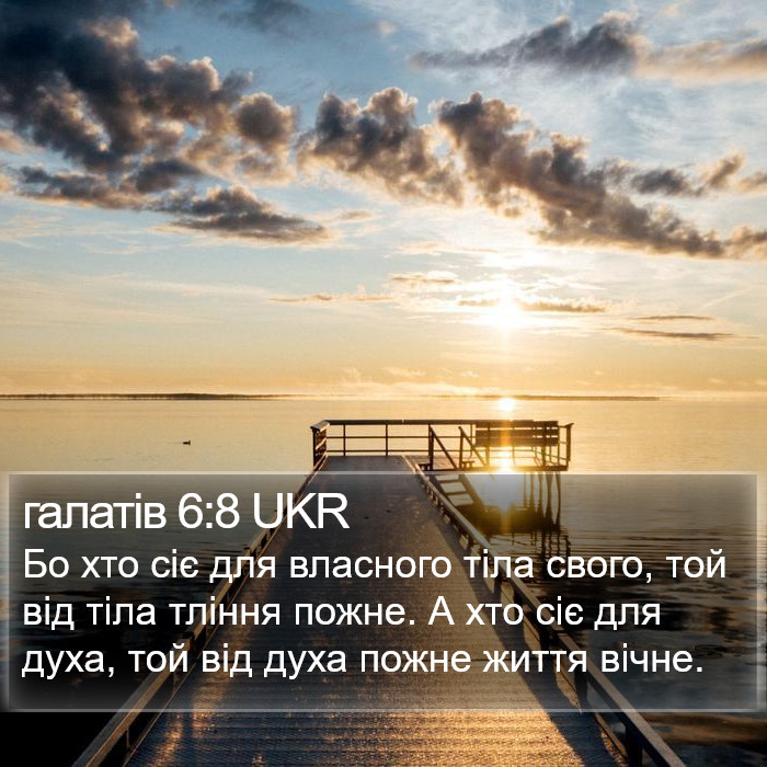 галатів 6:8 UKR Bible Study