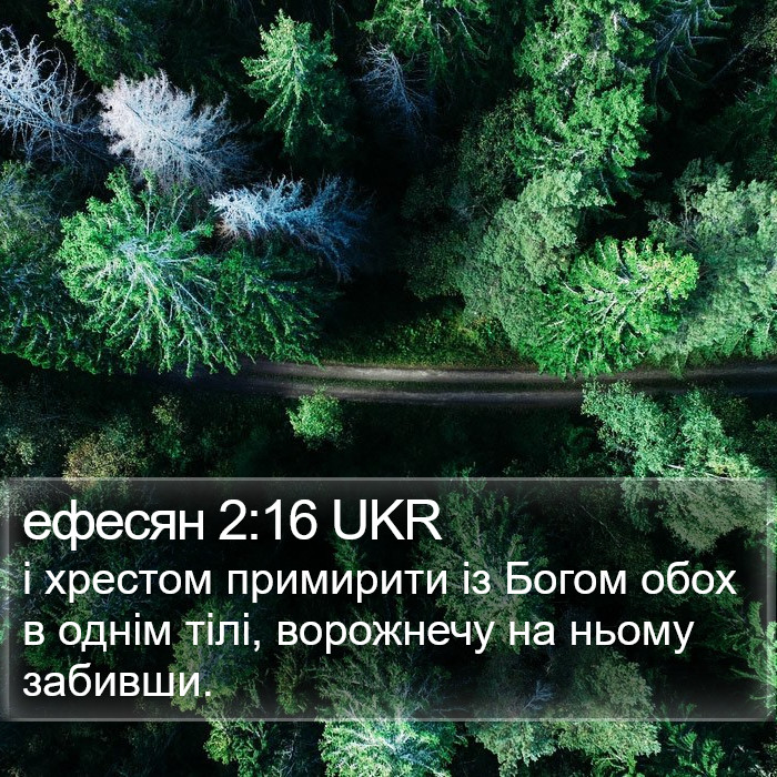 ефесян 2:16 UKR Bible Study