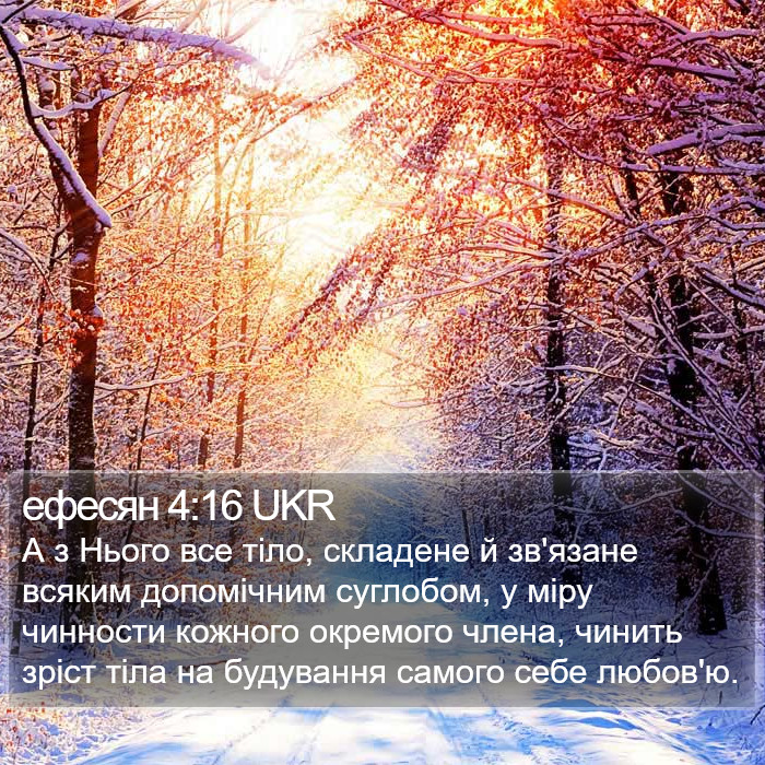 ефесян 4:16 UKR Bible Study