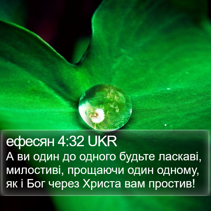 ефесян 4:32 UKR Bible Study