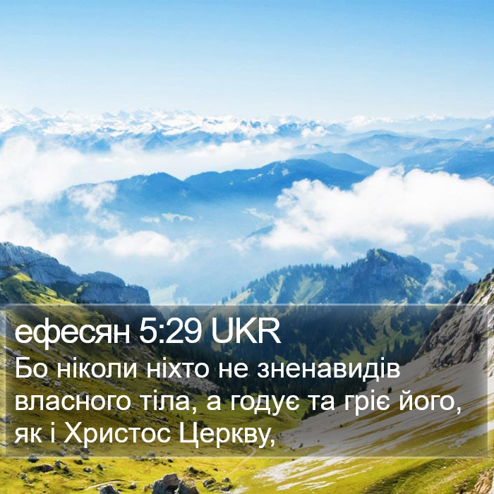 ефесян 5:29 UKR Bible Study